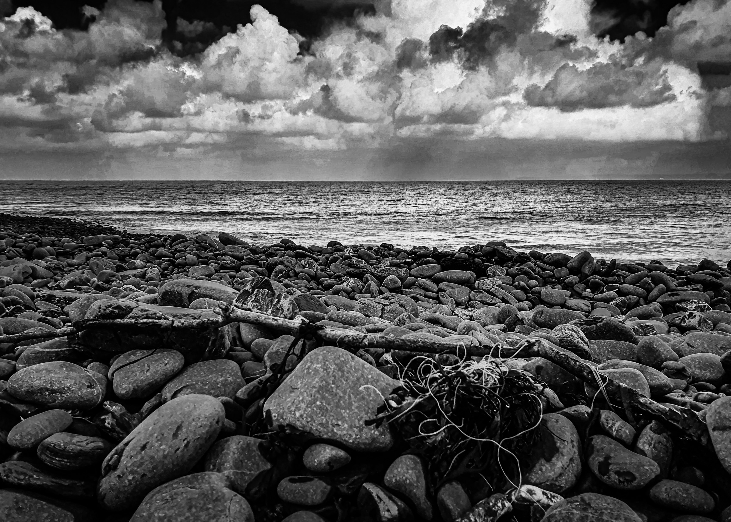 Driftwood on a pebble beach under a stormy sky, in black and white