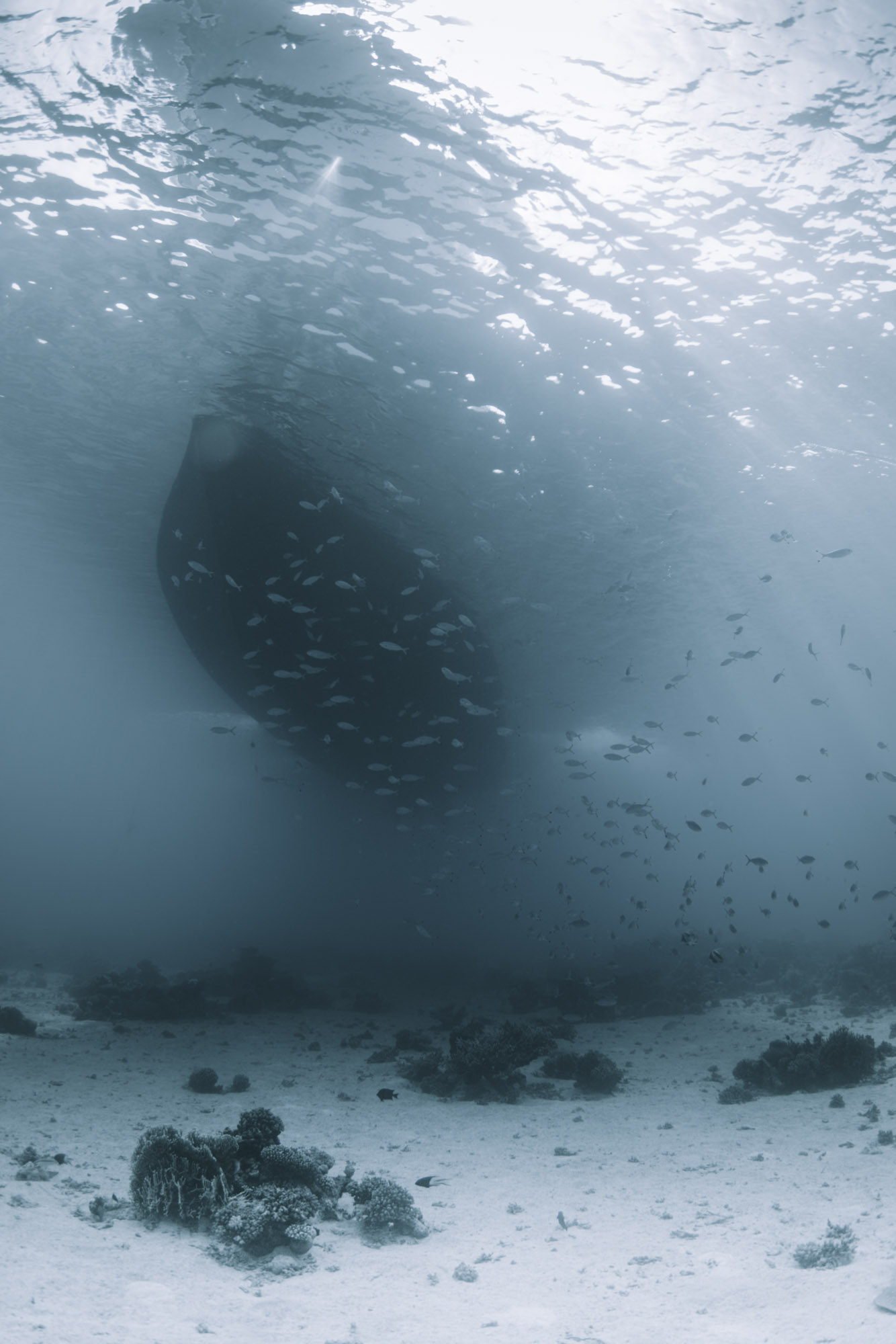 Beneath the hull, 4m, Red Sea